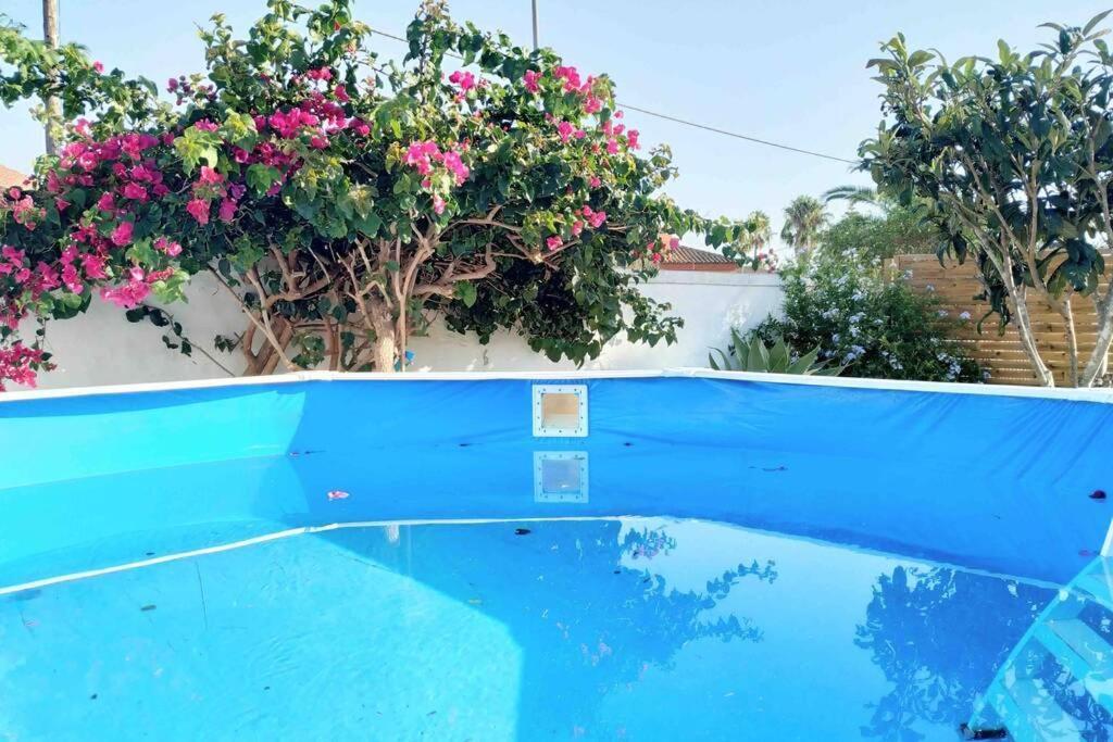 Apartamento Privado Con Jardin, Piscina Elevada Y Bbq Chiclana de la Frontera Bagian luar foto